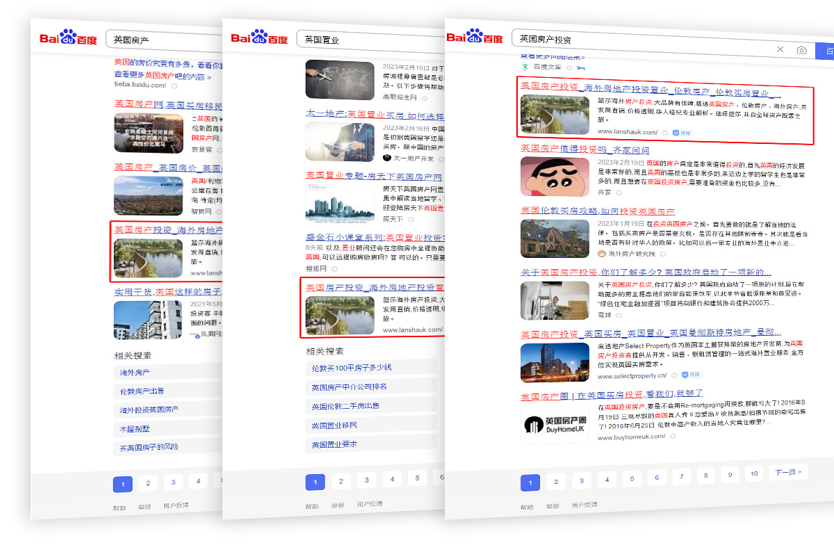 英国蓝莎-seo案例.jpg