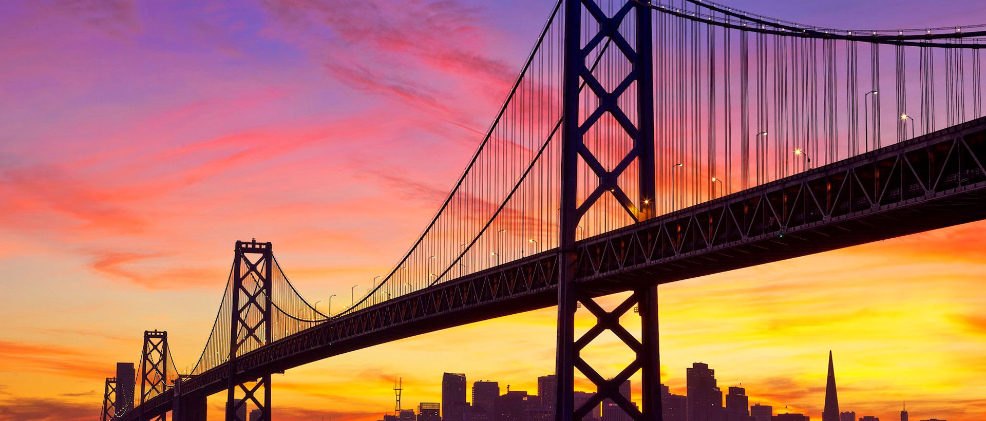 上海助腾网站设计制作开发公司推荐案例-乾立基金-1