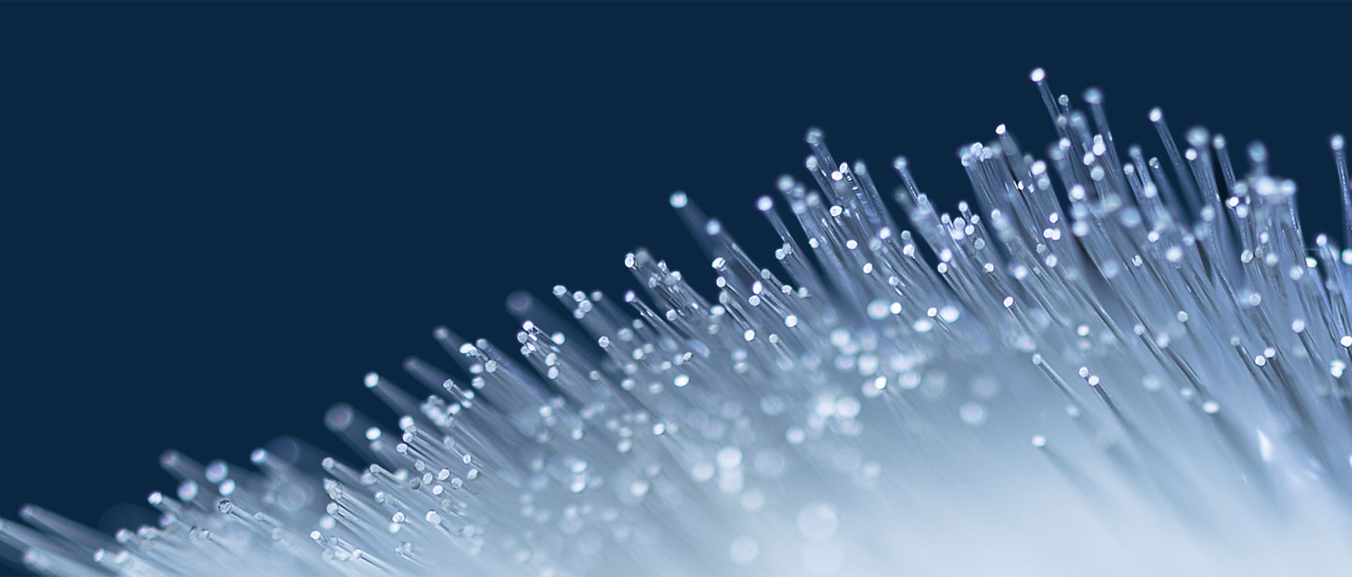 上海助腾网站设计制作开发公司推荐案例-中延集团-1