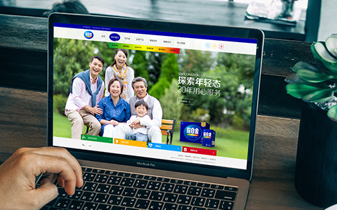 脑白金保健品网站建设