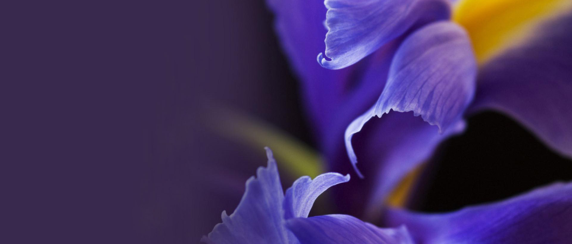 上海助腾网站设计制作开发公司推荐案例-嘉御庭-1