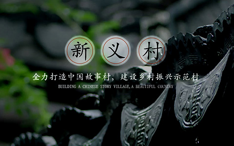 乡村政府网站建设