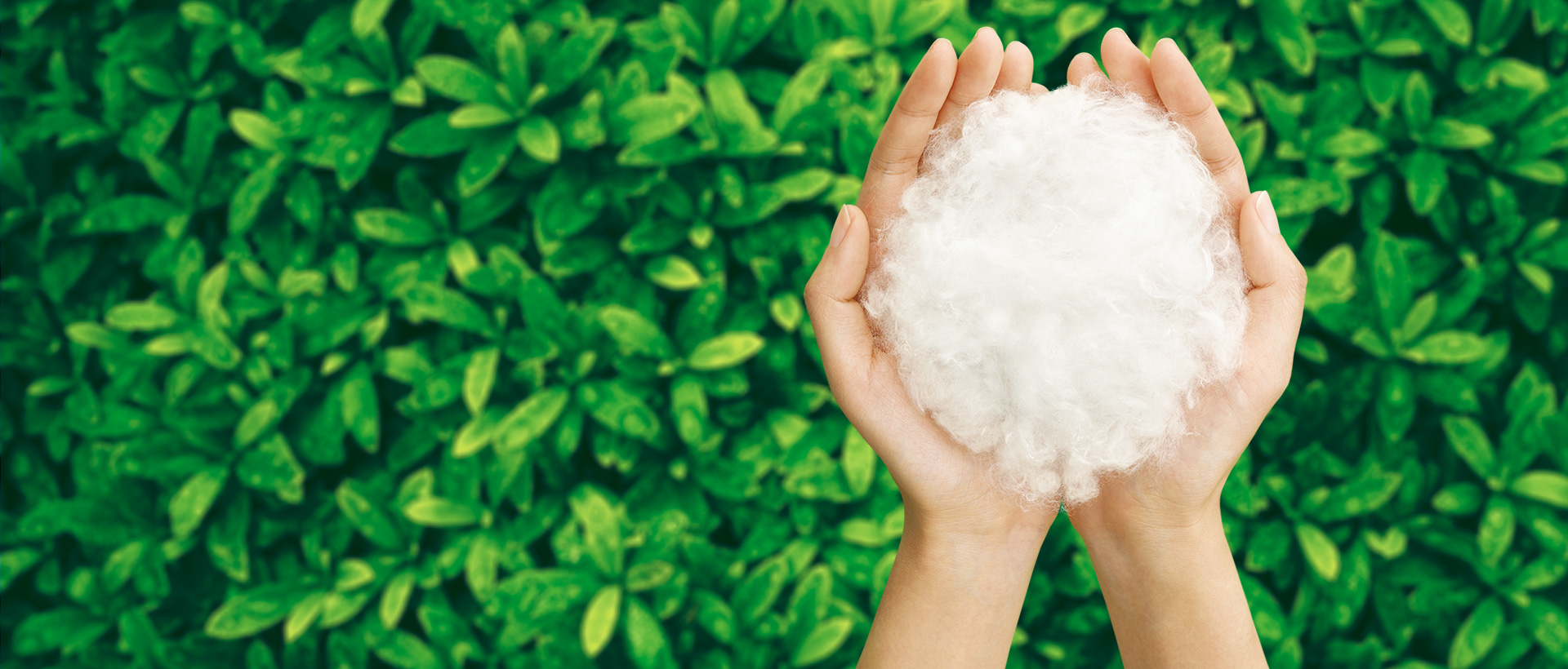 上海助腾网站设计制作开发公司推荐案例-优可丝-1