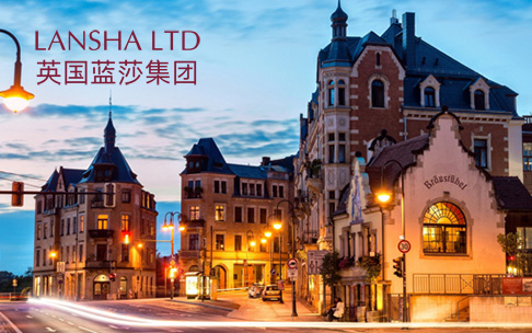 英国蓝莎集团SEO优化