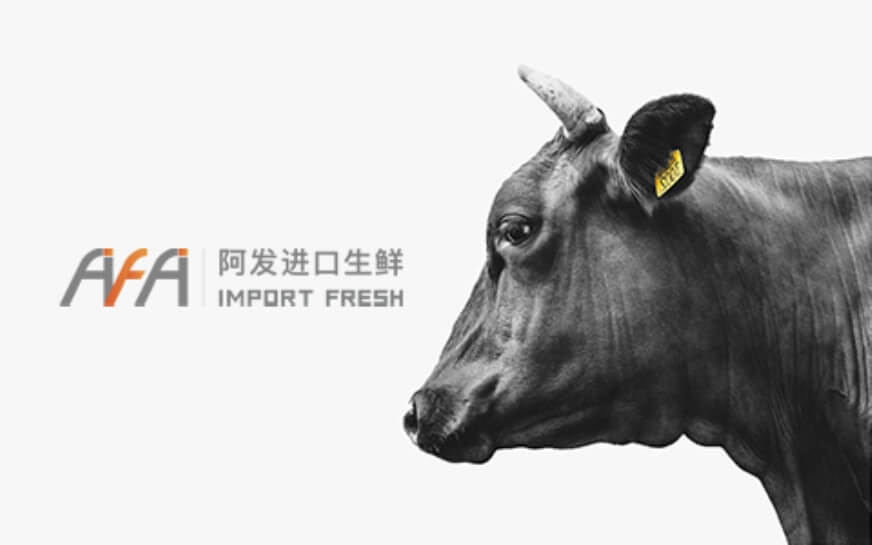 上海助腾科技-网站设计制作案例