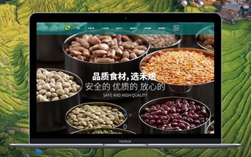 上海助腾科技-网站设计制作案例